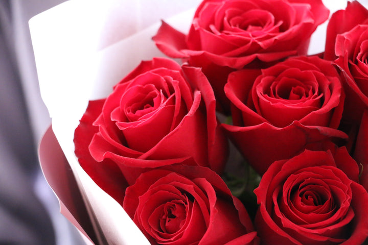 7本の赤いバラの花束-ひそかな愛