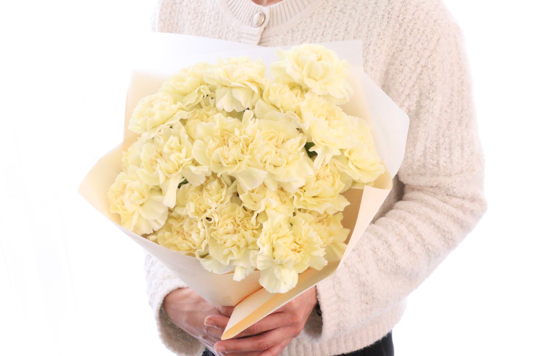 淡い黄色のカーネーションの花束（20本）