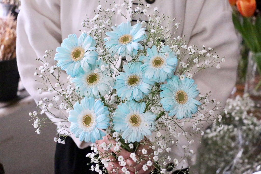 カスミソウと水色ガーベラ(染め)の花束