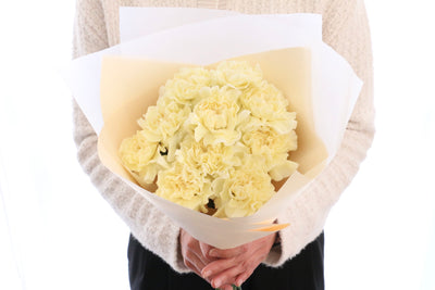 淡い黄色のカーネーションの花束（10本）