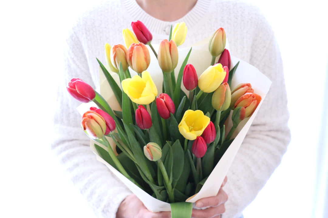 【3色MIX】チューリップの花束（25本）