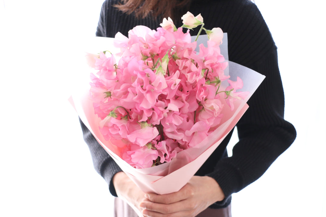 ピンク色のスイートピーの花束（25本）
