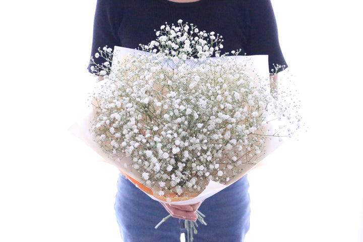 カスミソウ（かすみ草）の花束 4,000円