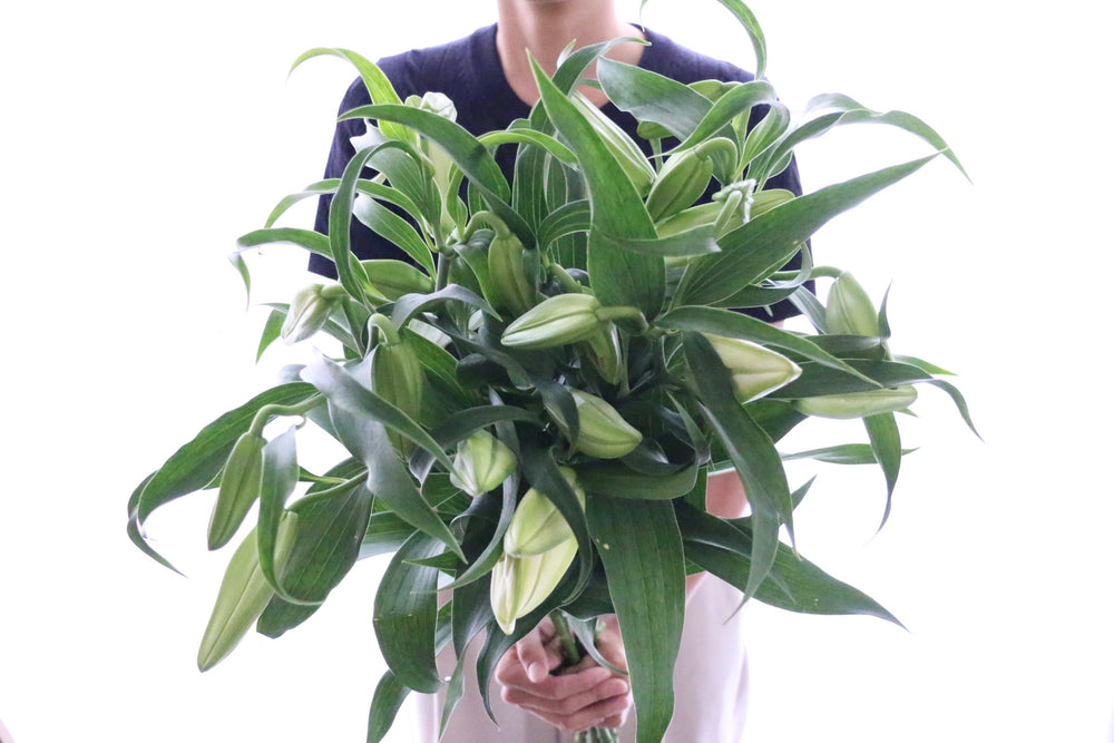 カサブランカの花束（5本）