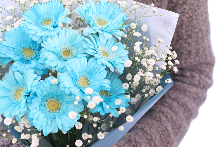 水色のガーベラ（10本）とカスミソウの花束