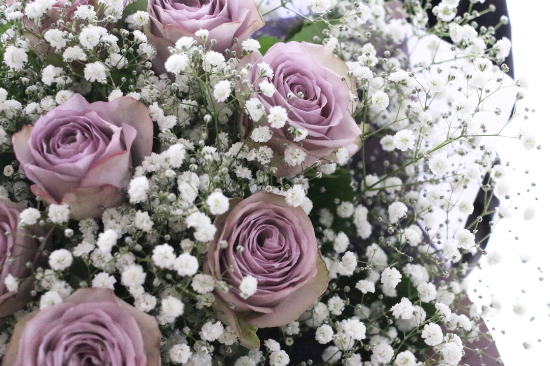 紫色のバラ（8本）とカスミソウ（3本）の花束 7,000円