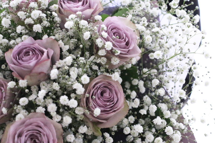 紫色のバラ（8本）とカスミソウ（3本）の花束 7,000円