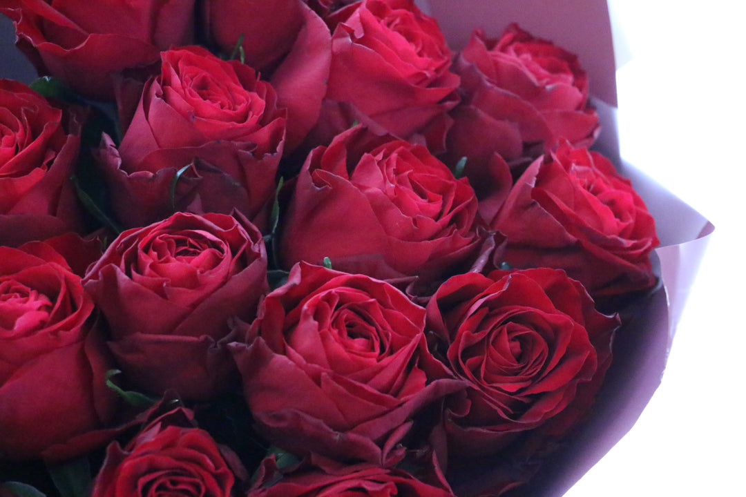 20本の赤いバラの花束-真心あるのみ