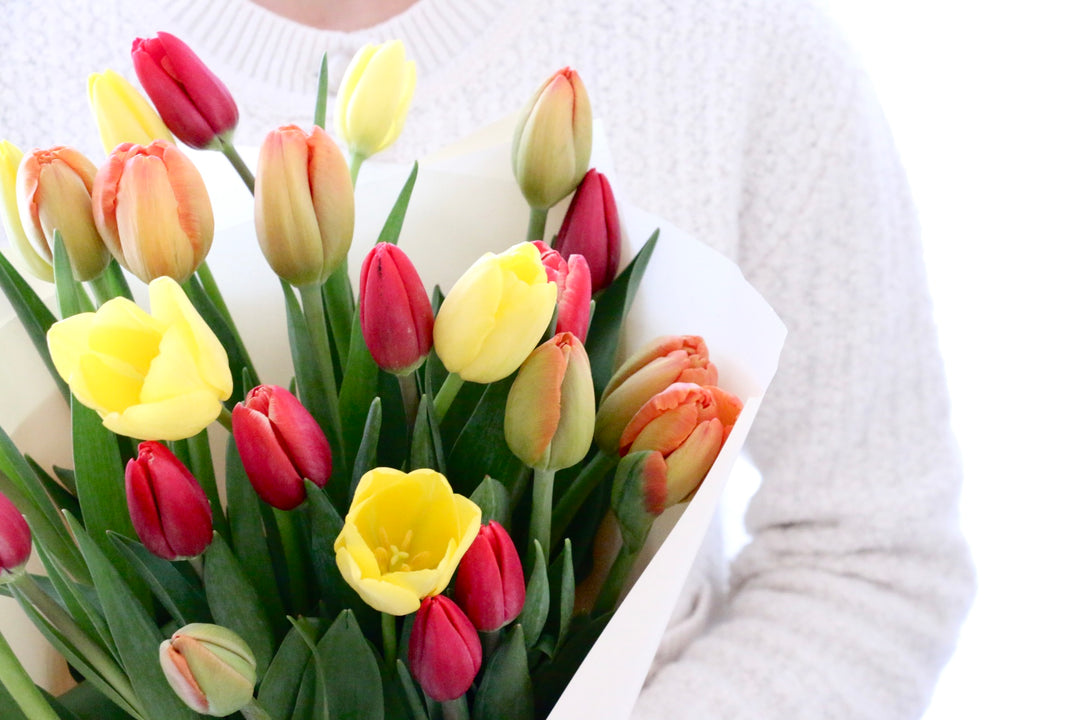 【3色MIX】チューリップの花束（25本）