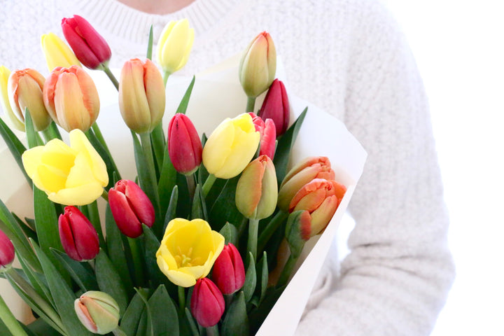【3色MIX】チューリップの花束（25本）