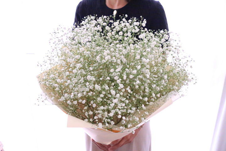 カスミソウ（かすみ草）の花束 6,000円