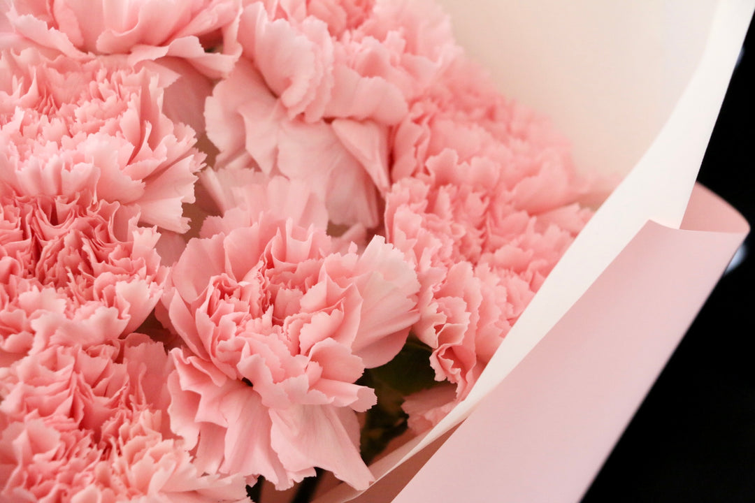 ピンクのカーネーションの花束（12本）-私の妻になってください