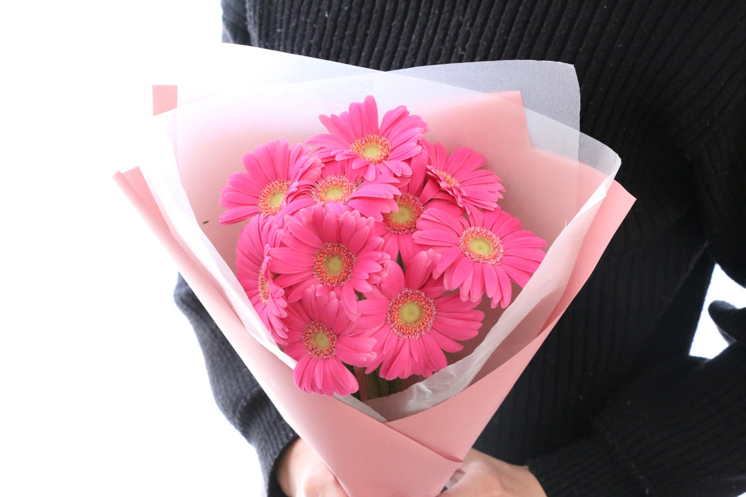濃いピンク色のガーベラの花束（10本）