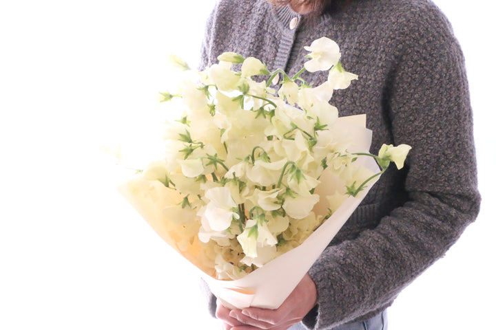 クリーム色のスイートピーの花束（25本）