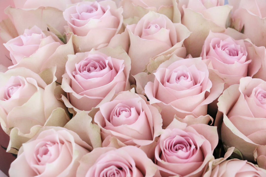 21本のピンク色のバラの花束-あなただけに尽くします