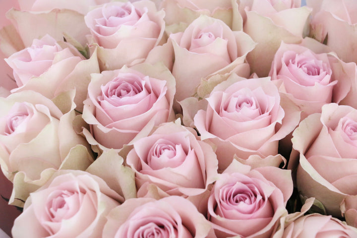 21本のピンク色のバラの花束-あなただけに尽くします