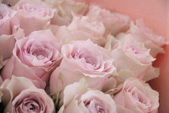 32本のピンク色のバラの花束
