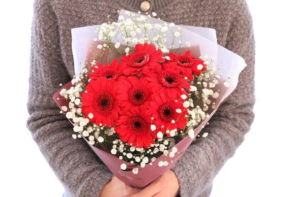 赤色のガーベラ（8本）とカスミソウの花束