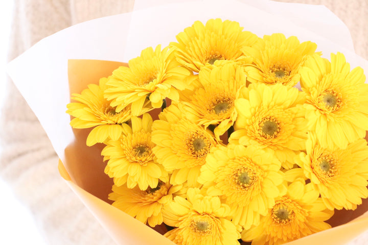 黄色のガーベラの花束（14本）-誇りに思います