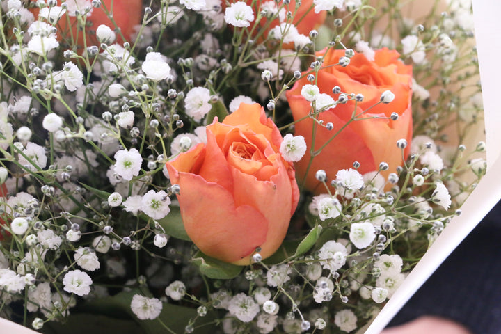 オレンジ色のバラ（8本）とカスミソウ（3本）の花束 7,000円