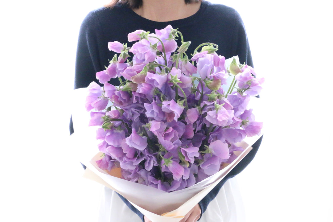 紫色のスイートピーの花束（50本）