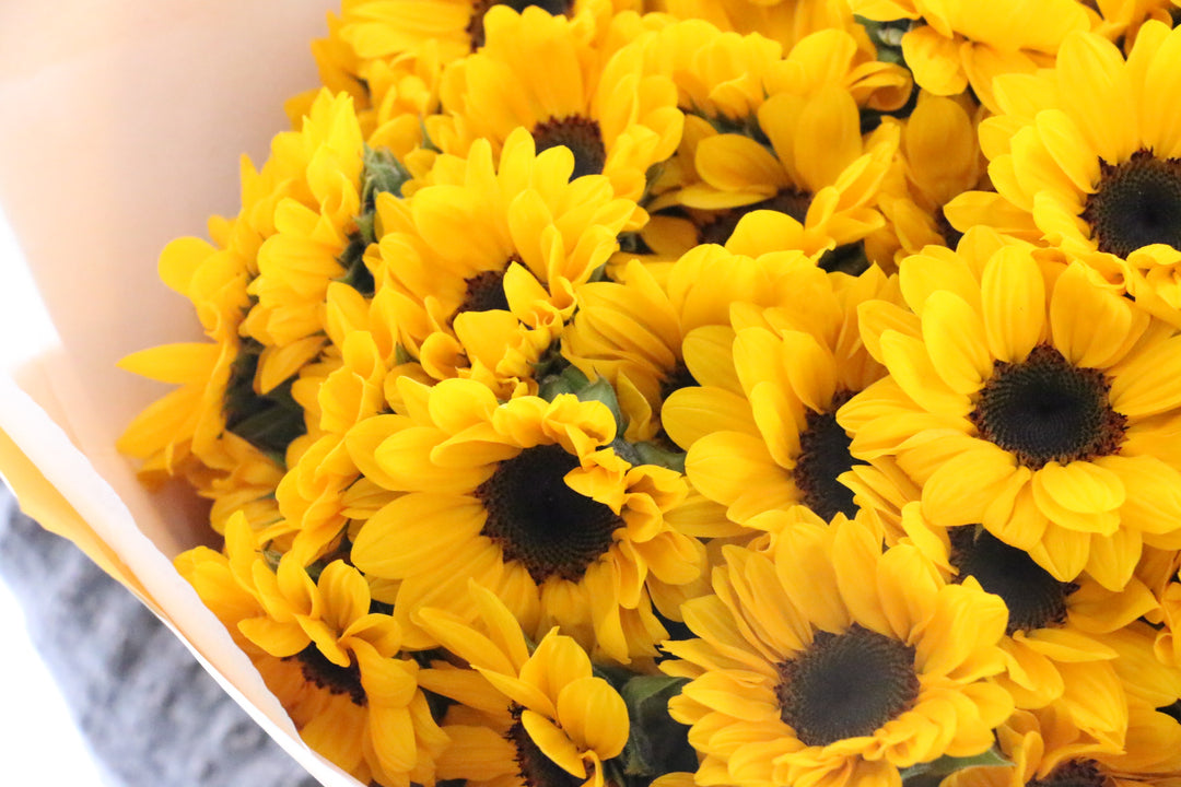 ひまわりの花束（35本）