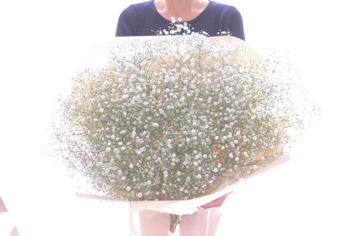 【プロポーズの花束】カスミソウの花束（10本）