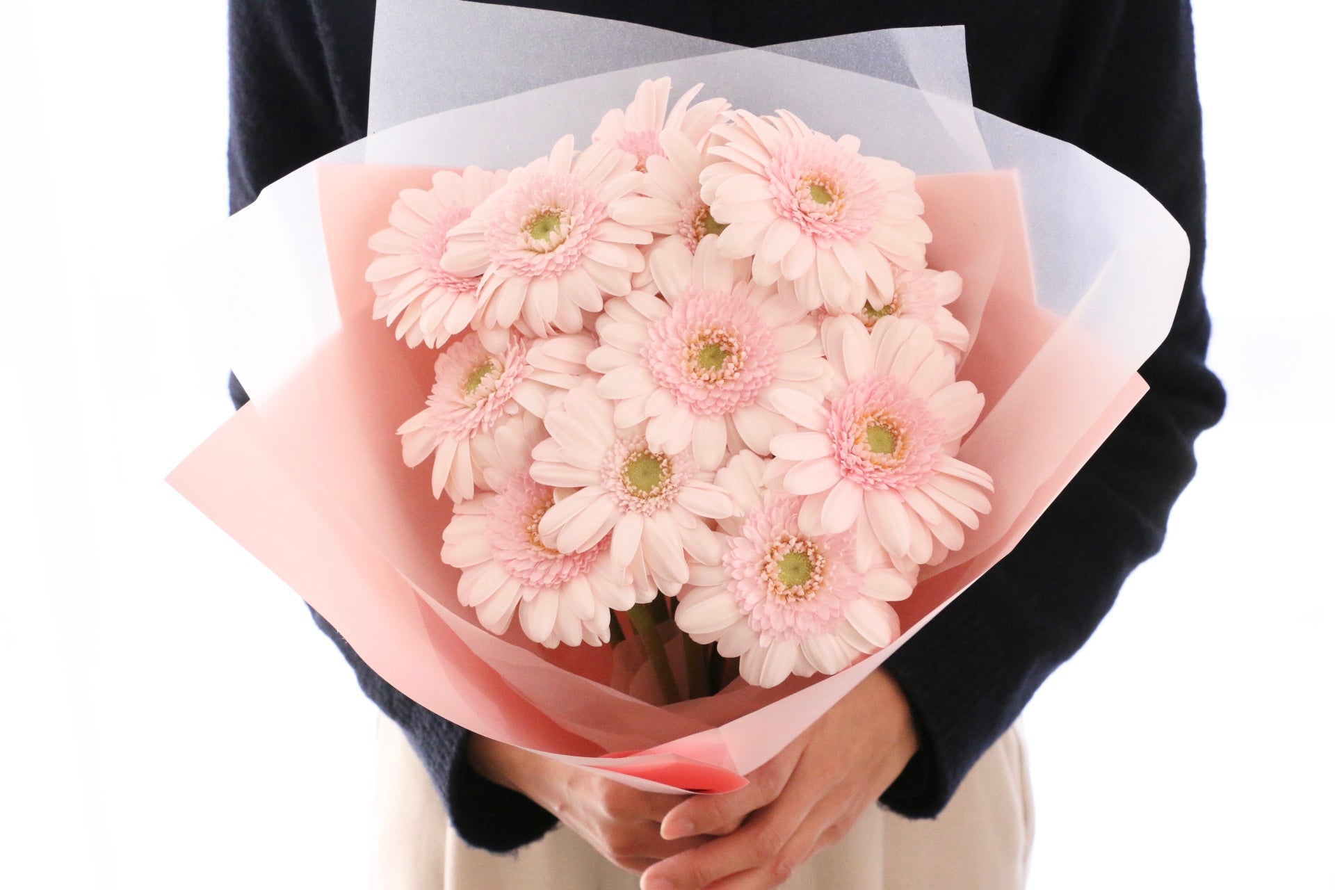 ピンク色のガーベラの花束（13本）-永遠の友情 – 花・花束の通販サイト