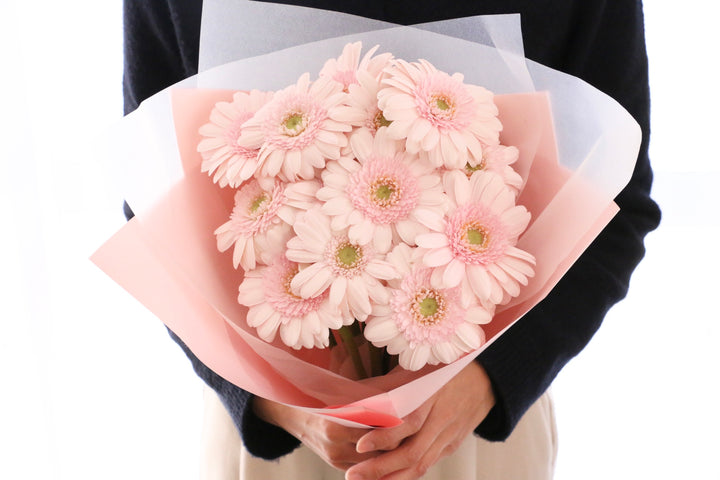 ピンク色のガーベラの花束（13本）-永遠の友情