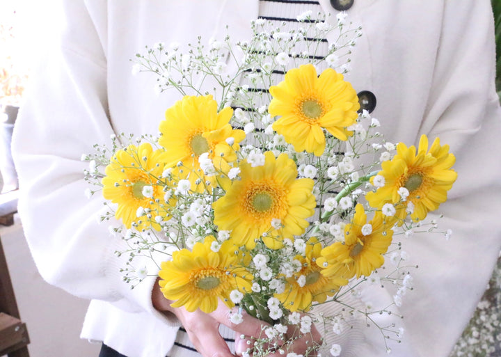 かすみ草（カスミソウ）と黄色ガーベラの花束