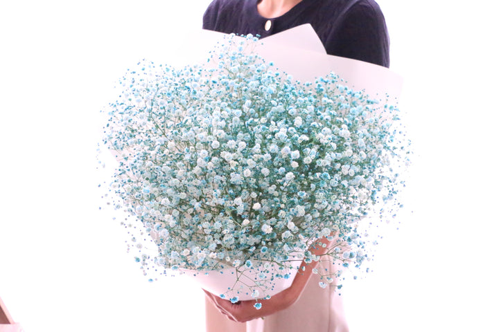 水色のカスミソウ（かすみ草）の花束 8,000円