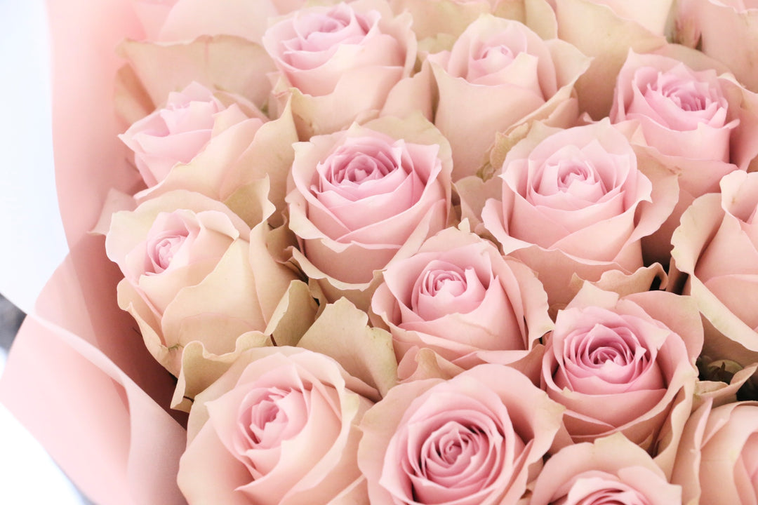 22本のピンク色のバラの花束-あなたの幸運を祈ります