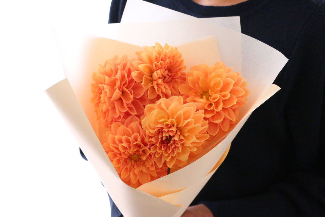 オレンジ色のダリアの花束（5本）