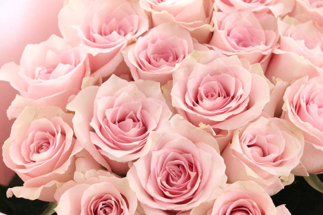 18本のピンク色のバラの花束