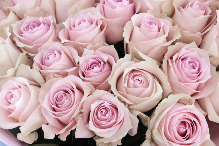 27本のピンク色のバラの花束-深い愛