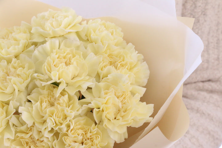 淡い黄色のカーネーションの花束（11本）