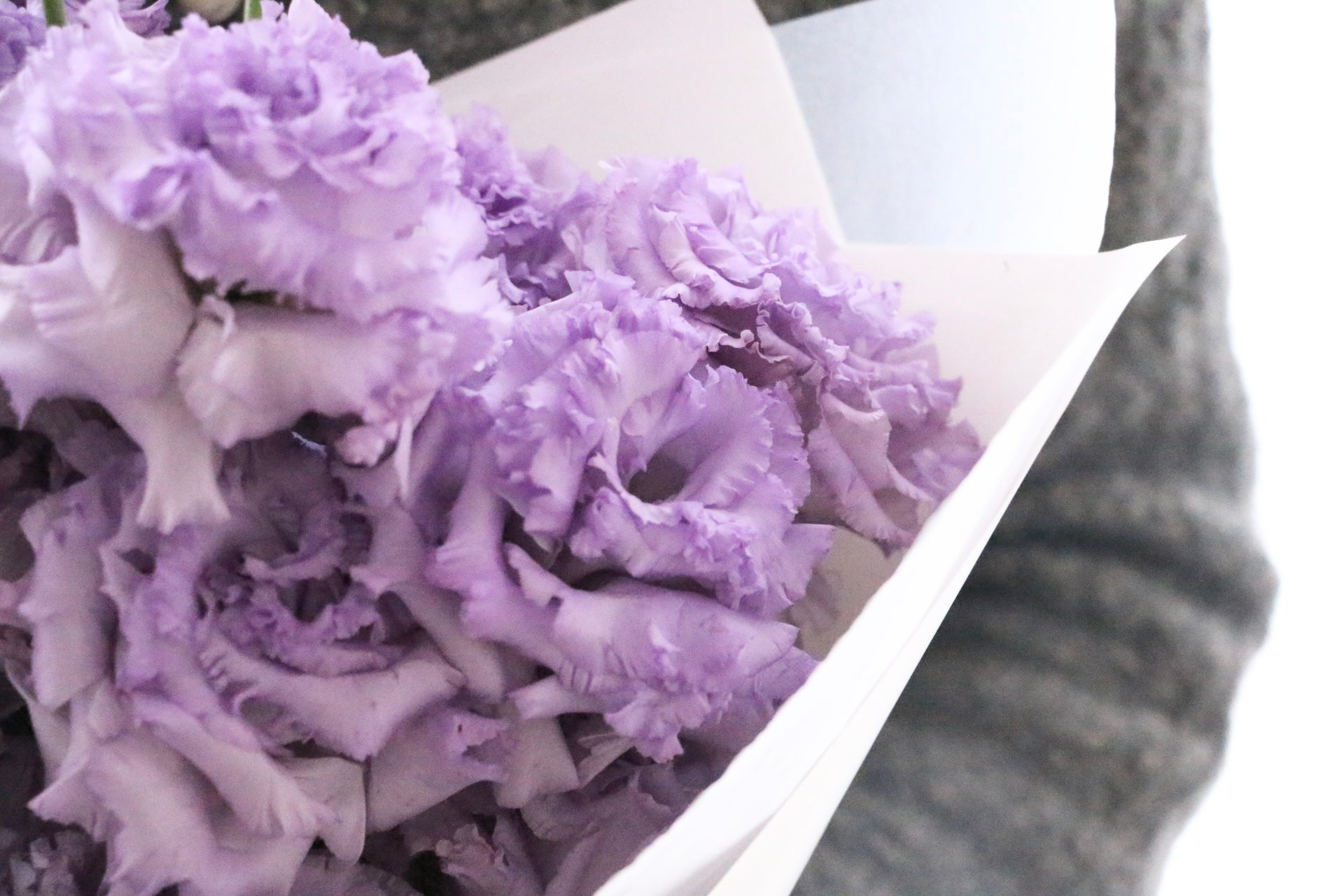 紫色のトルコキキョウの花束（4本） – 花・花束の通販サイト｜HanaTaku