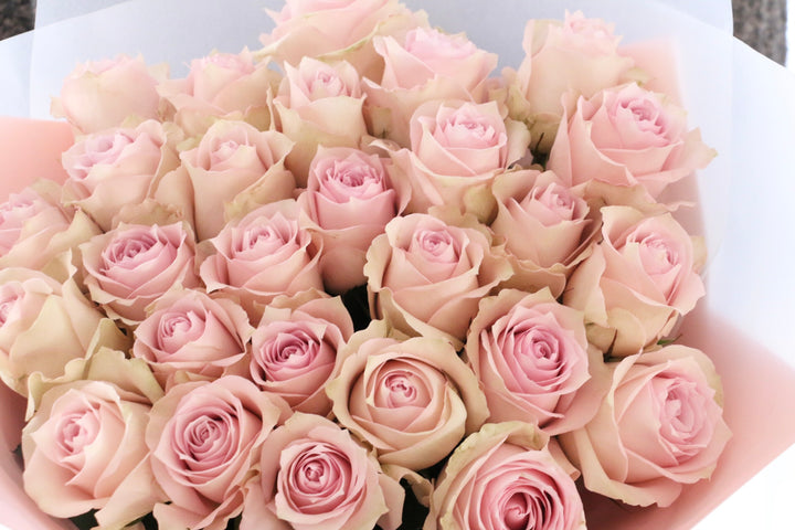 27本のピンク色のバラの花束-深い愛