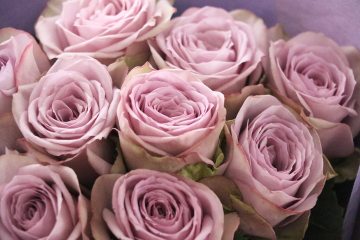 紫色のバラの花束（9本）-いつまでも一緒にいてください