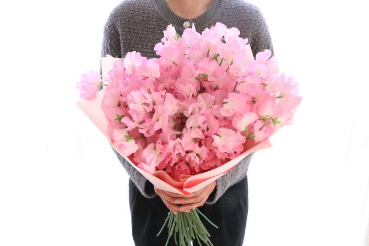 ピンク色のスイートピーの花束（50本）