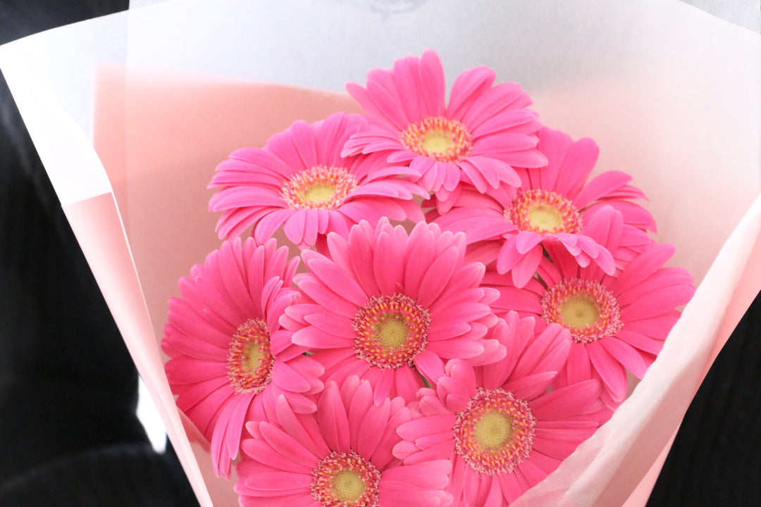濃いピンク色のガーベラの花束（8本）-あなたの思いやりに感謝します