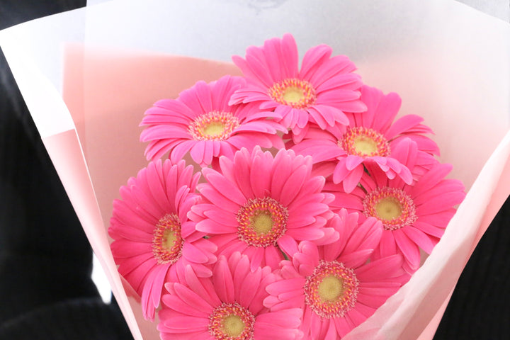 濃いピンク色のガーベラの花束（8本）-あなたの思いやりに感謝します