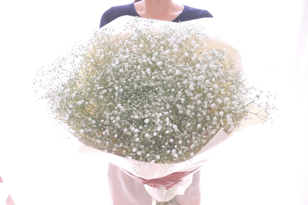 カスミソウ（かすみ草）の花束 9,000円