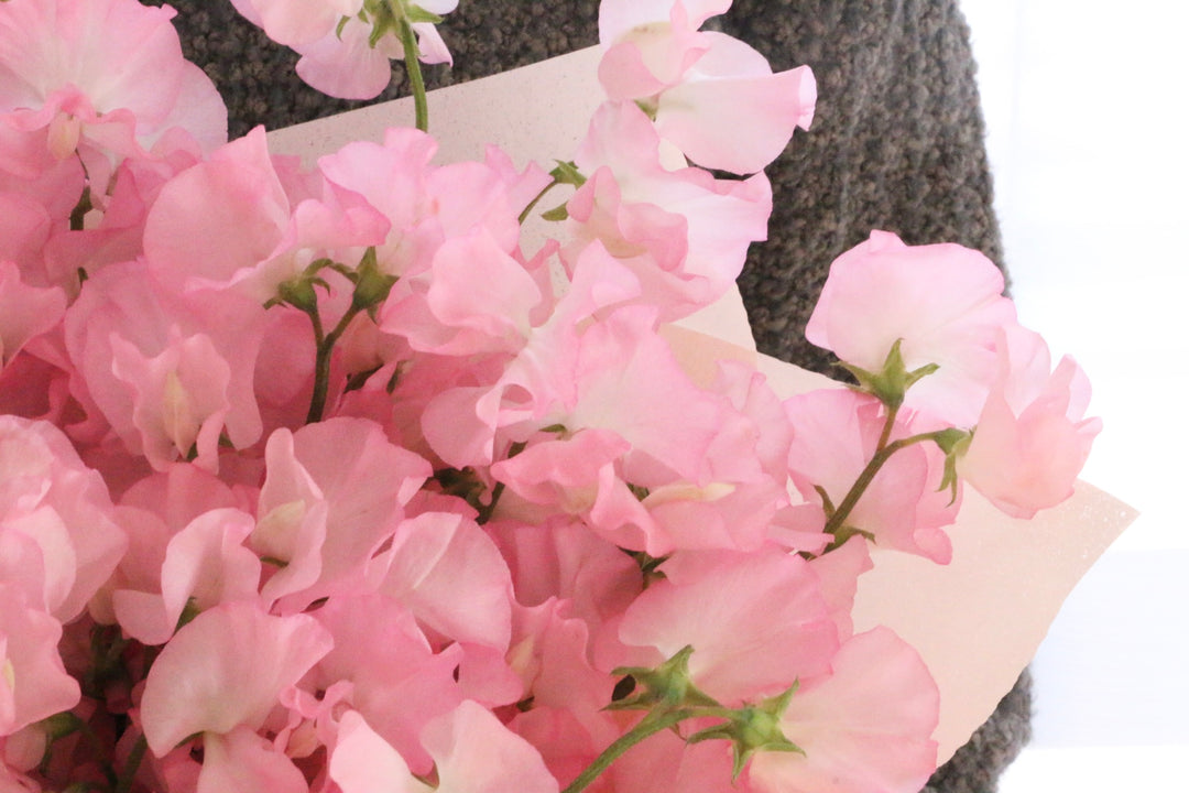 ピンク色のスイートピーの花束（40本）