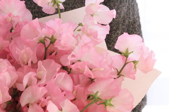 ピンク色のスイートピーの花束（40本）