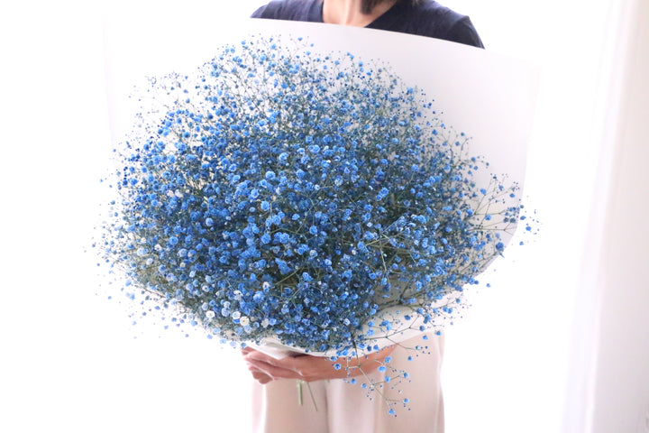 青のカスミソウ（かすみ草）の花束 10,000円