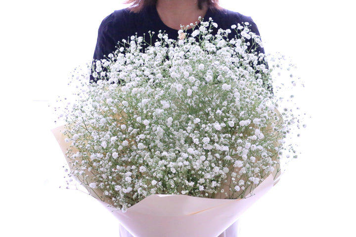 カスミソウ（かすみ草）の花束 7,000円