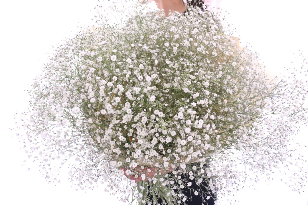 カスミソウの花束（15本）