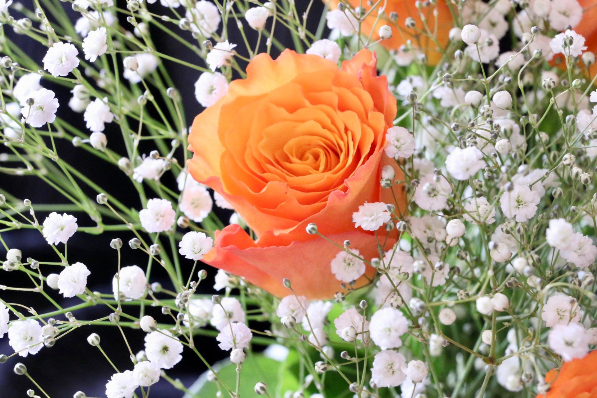 花かんむり♡優しいオレンジ♡ピンク♡黄色♡かすみ草ミックス ラスト1点 プリザーブドフラワー／大輪の黄色の薔薇とミニ薔薇とかすみ草の
