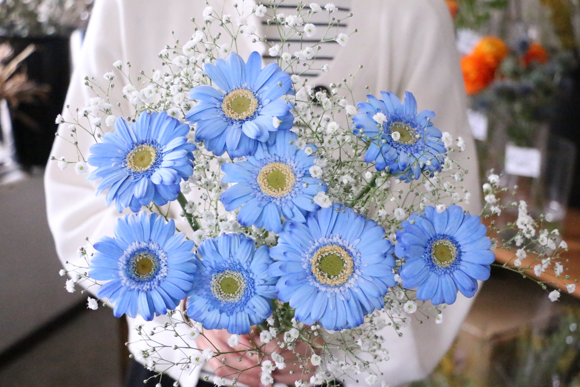 青色のガーベラ（8本）とカスミソウの花束 – 花・花束の通販サイト